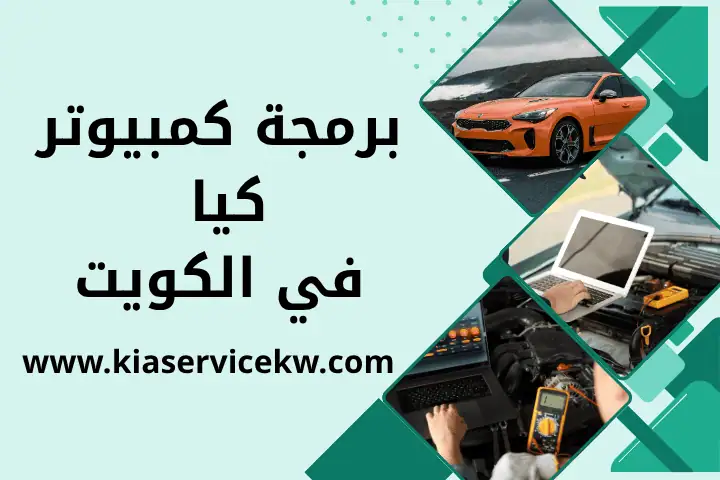 فني برمجة كمبيوتر كيا